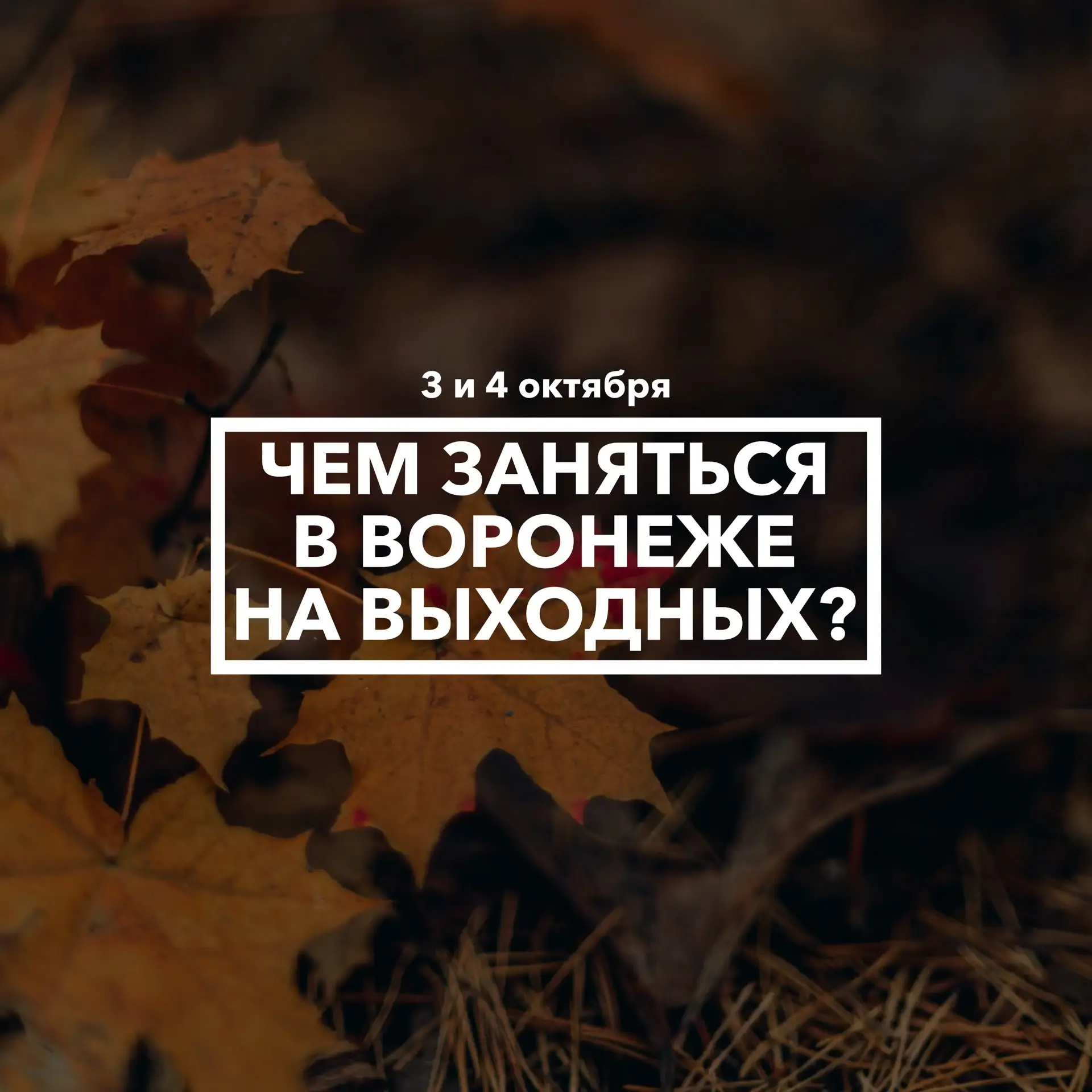 Дайджест событий в Воронеже на выходных 3 и 4 октября 🍁