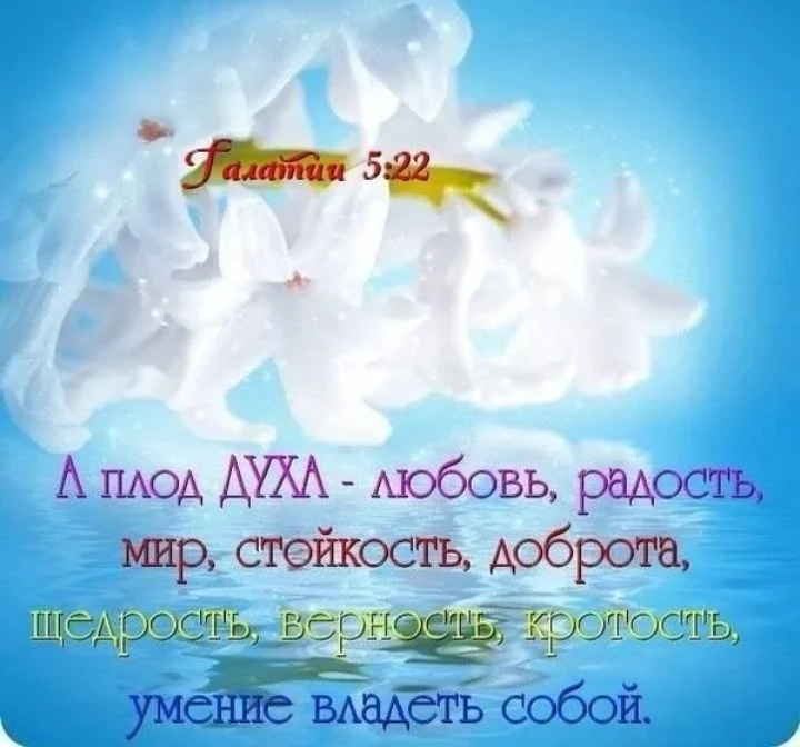 🔔🔔🔔🔔🔔🔔🔔🔔  Колокольчик праведности.  «У праведности нет колокольчика, чтоб, позвонив в него, узнать о