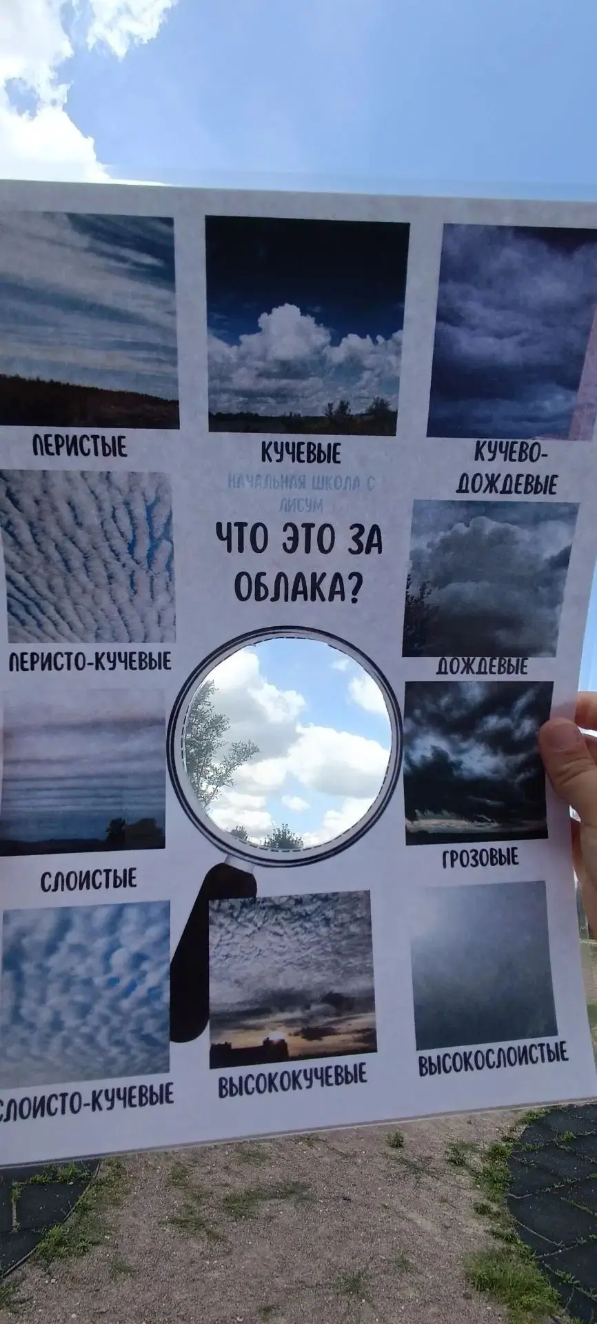 🌿 Маленькие учёные из группы «Ириски» открывают тайны природы! 🌿
Ребята из группы «Ириски» преврат