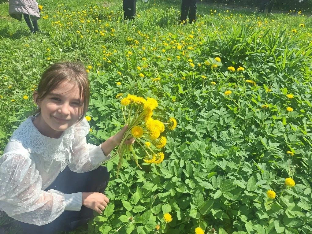 День одуванчика: праздник солнца и детства! В начальной школе 13 мая прошёл весёлый и яркий праздник