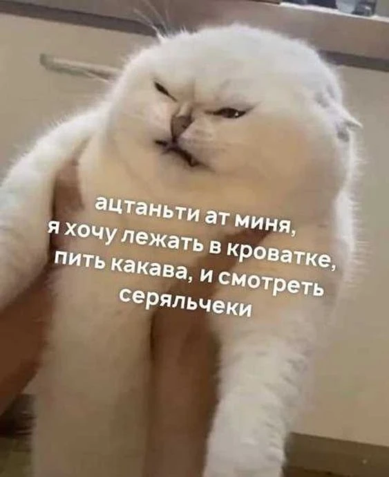 ЛЕВ, 29 июля. Сегодня лучше всем оставить тебя в покое

🛑Твои личные предсказания судьбы в нашем бо