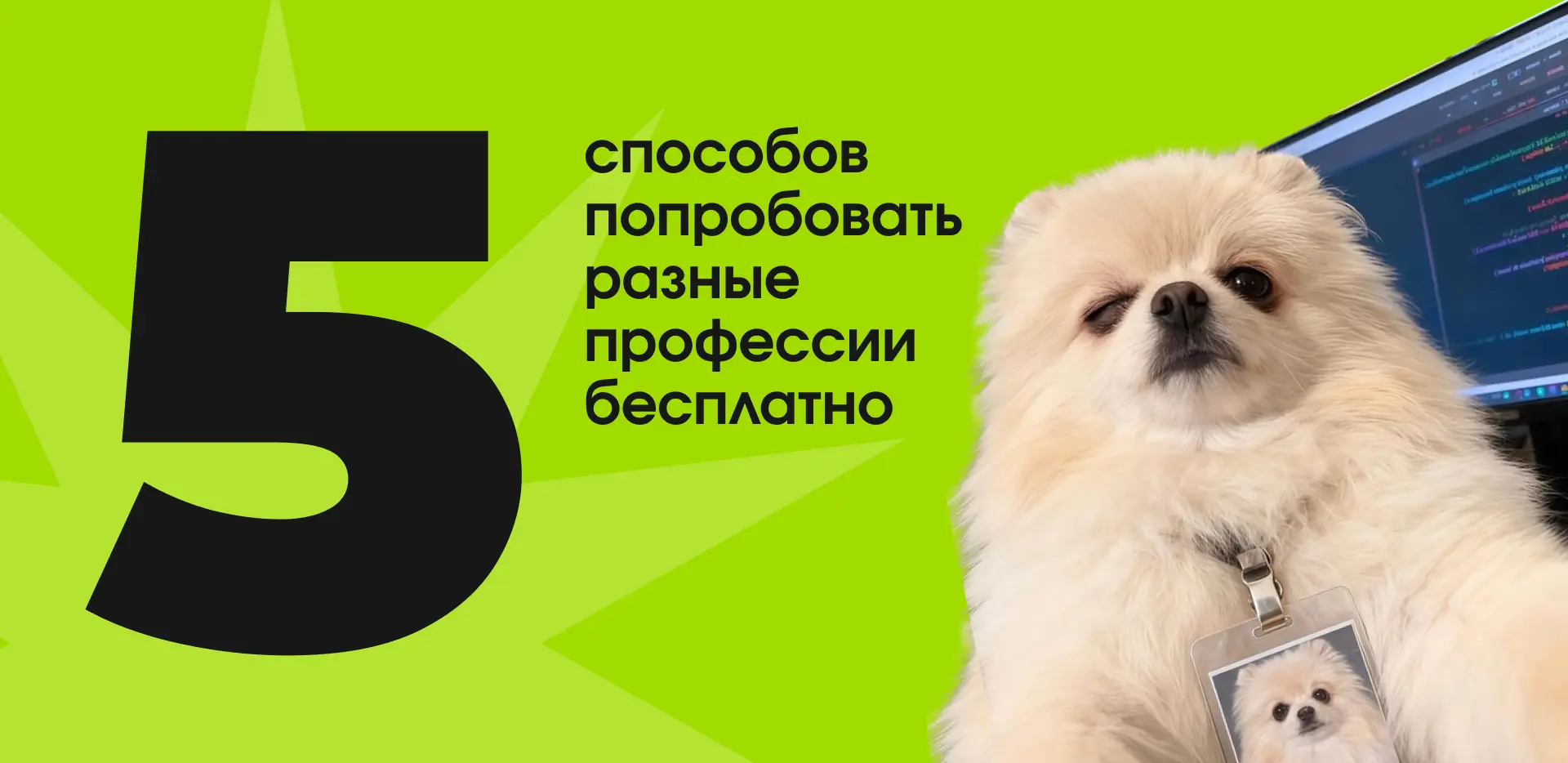 5 способов попробовать разные профессии бесплатно