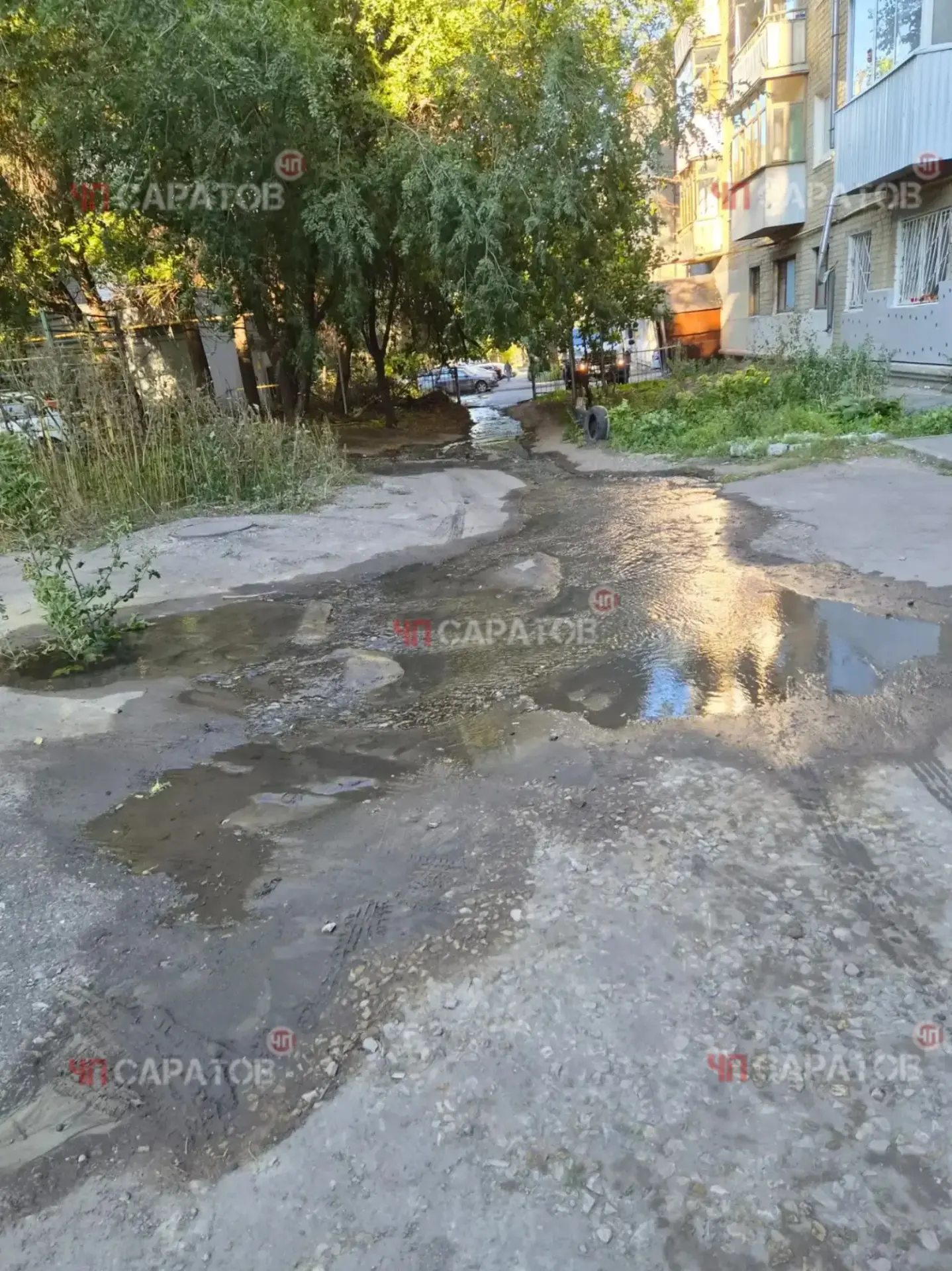 #отчитателя