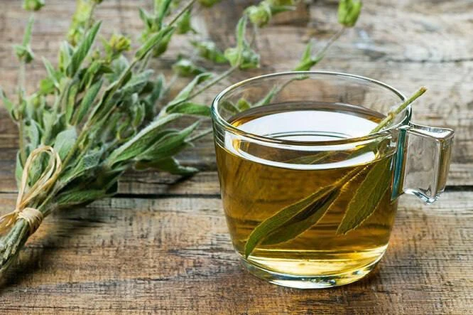 🫧ШАЛФЕЙ,ТРАВА ТОРМОЗЯЩАЯ СТАРЕНИЕ!  🌿Шалфей богат фолиевой кислотой, которая нам необходима для кров