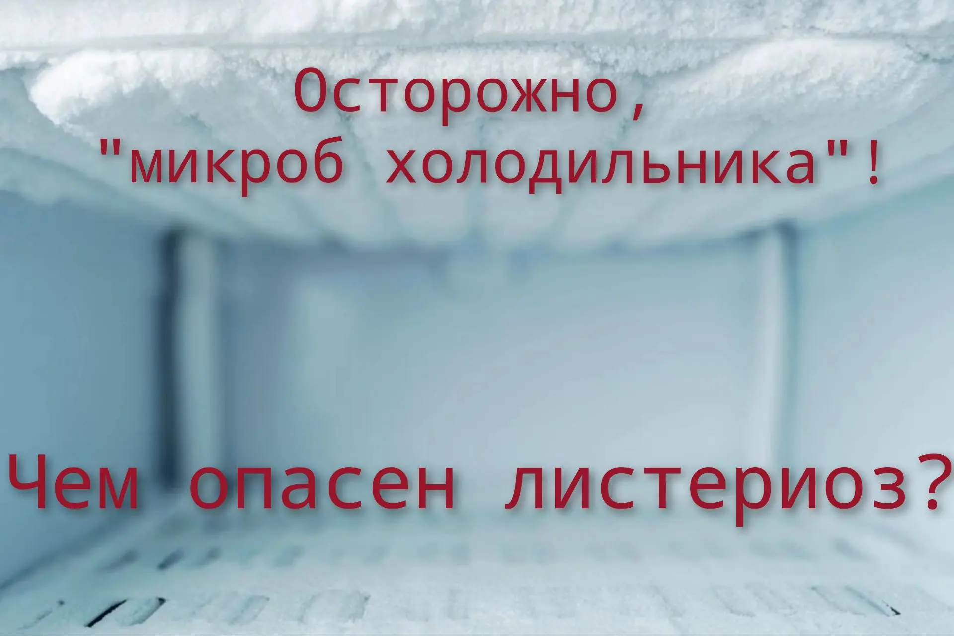 Друзья, многие из нас привыкли считать, что холод убивает бактерии. Но есть один коварный возбудител