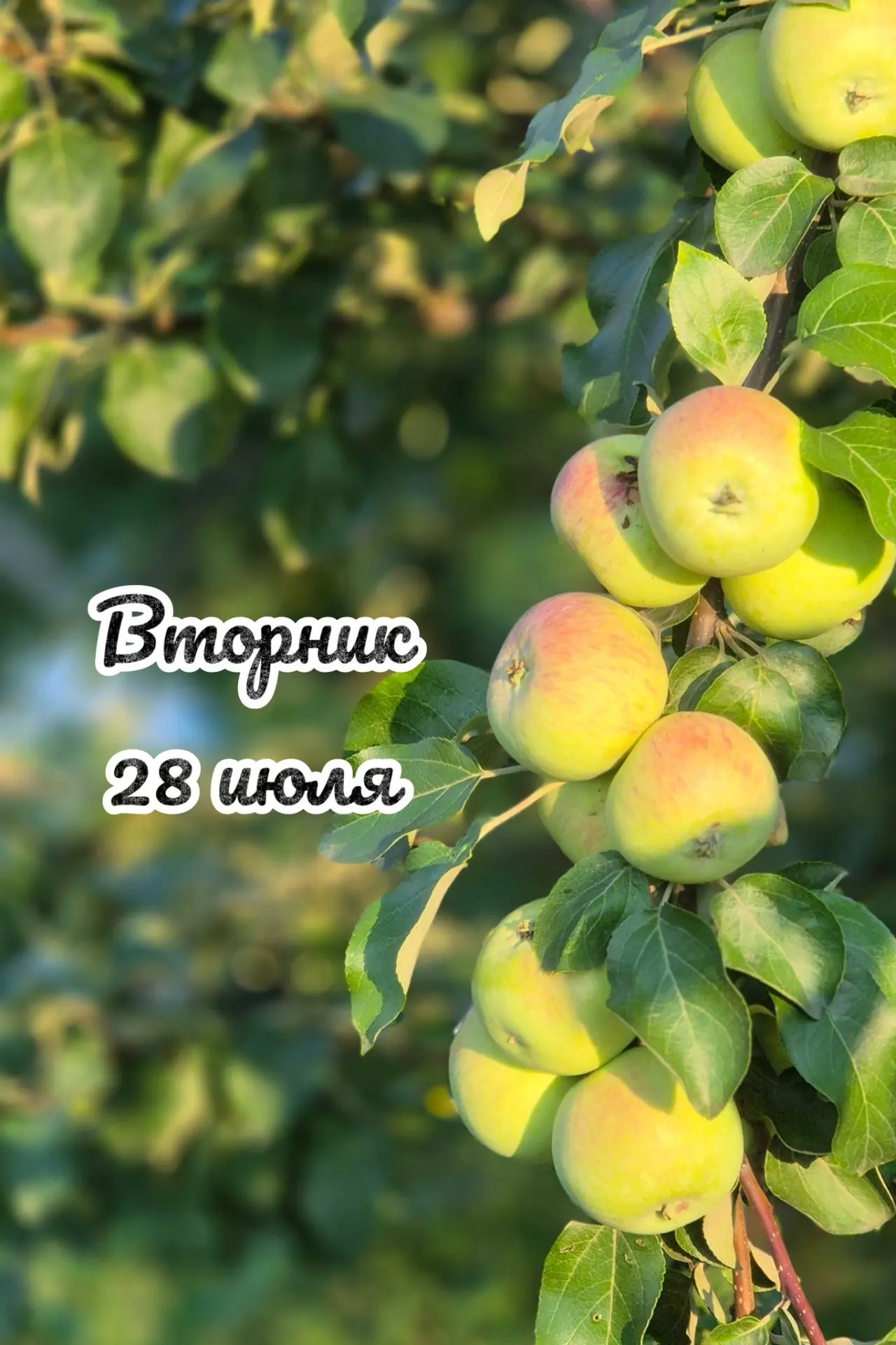 📅 Вторник, 28 июля: день успеха 🎉