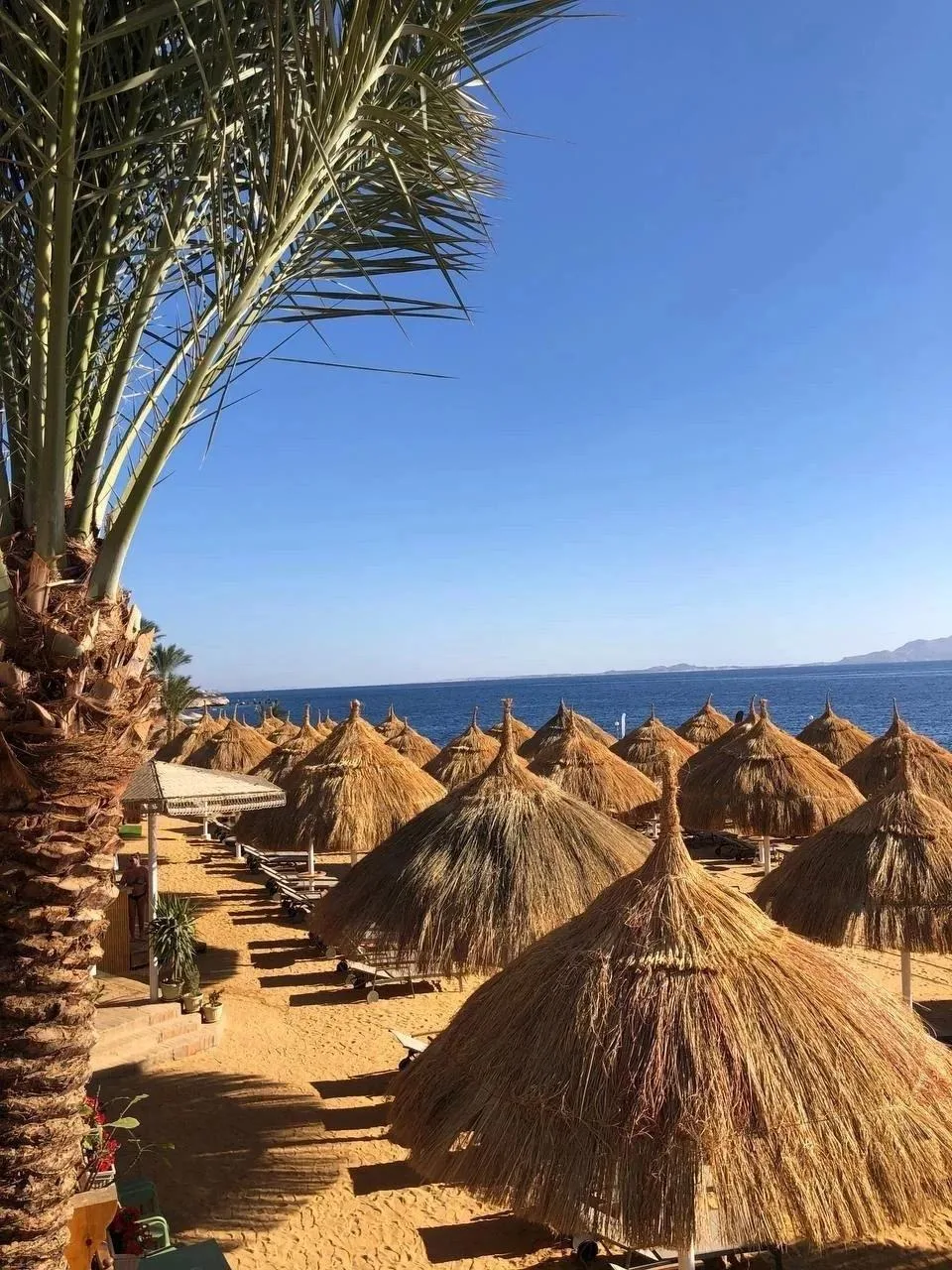 🇪🇬 Шарм-Эль-Шейх в декабре: отдых в безветренных бухтах!