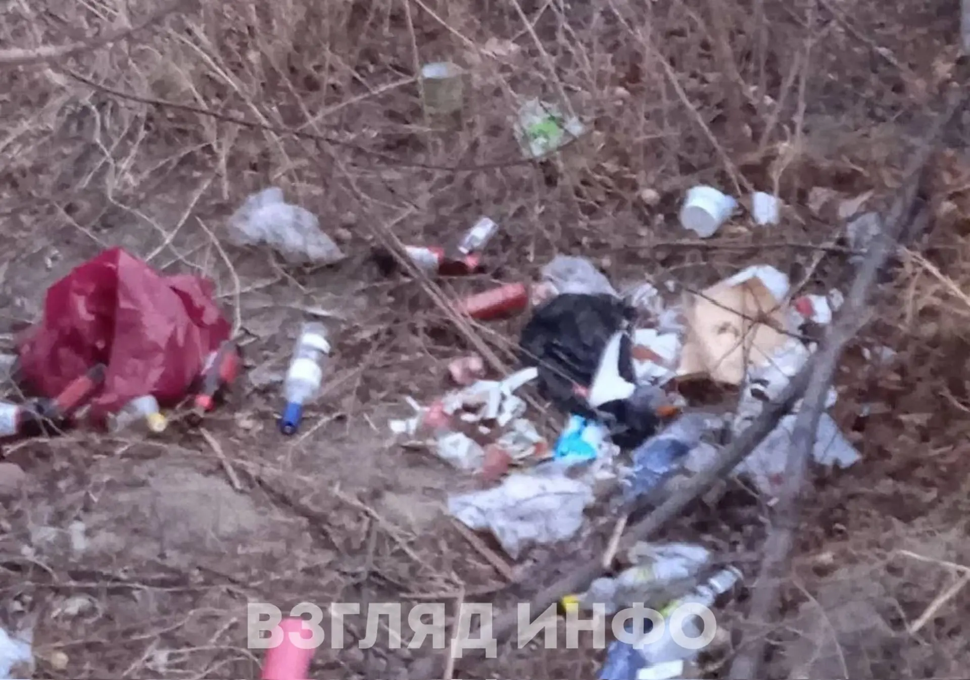 Читательница жалуется на мусор вдоль берега Минусинки на улице Канская. Вот что она пишет:  Вот так 
