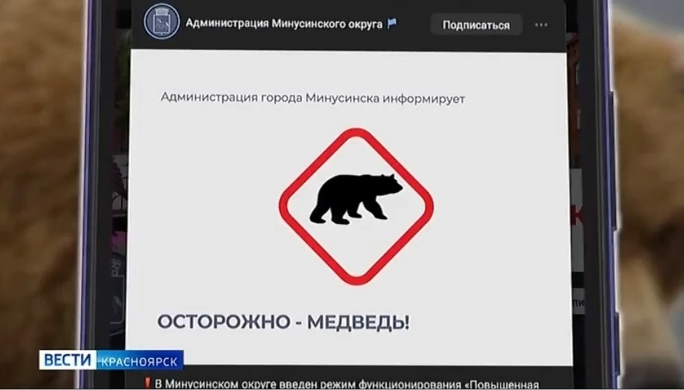 В Минусинском округе из-за медведей ввели режим повышенной готовности