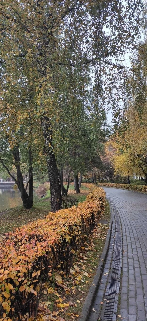 В Измайловском парке понемногу желтеют деревья.