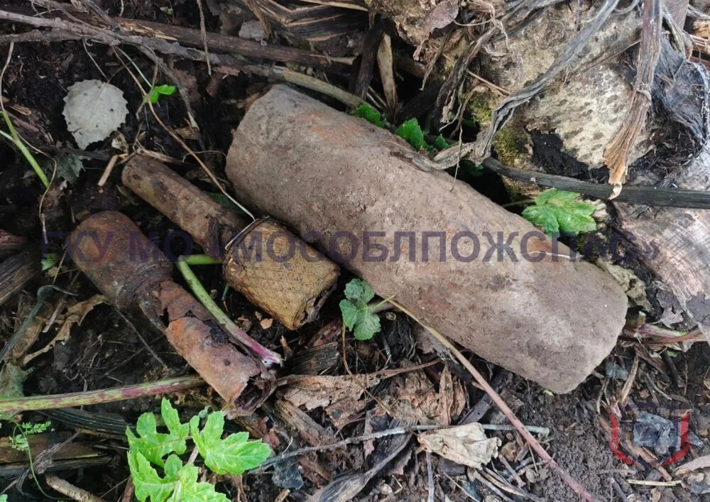 В Подмосковье обезвредили три боеприпаса времён войны