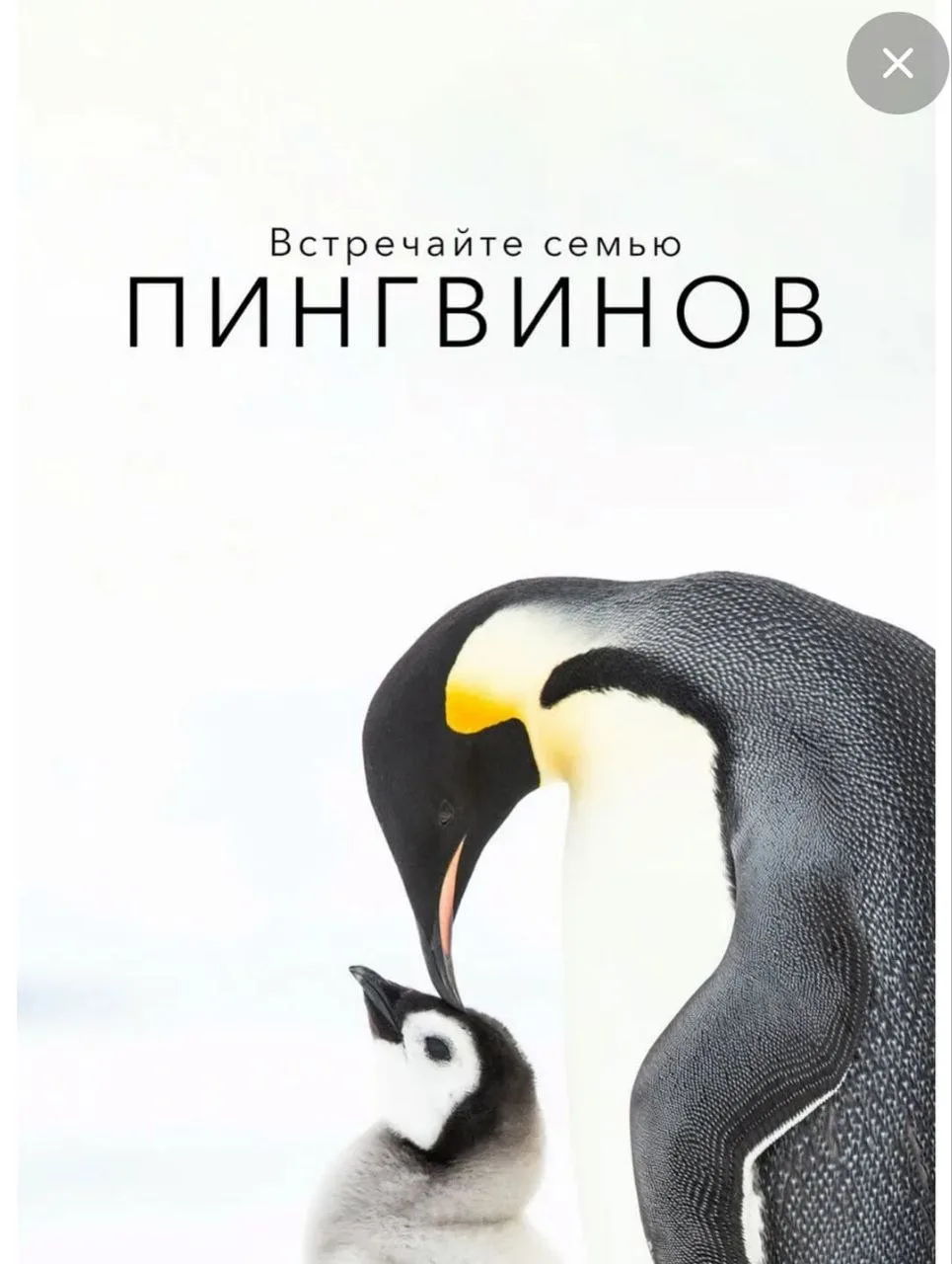 ✨ 9 документалок, которые прокачают любопытство вашего ребёнка.  Они помогут взглянуть на науку и пр