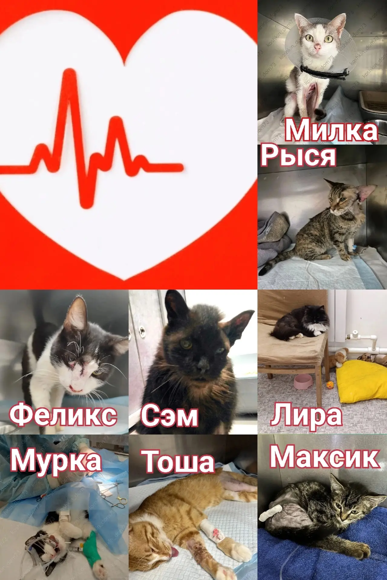 Друзья, пожалуйста, поддержите группу 🙏