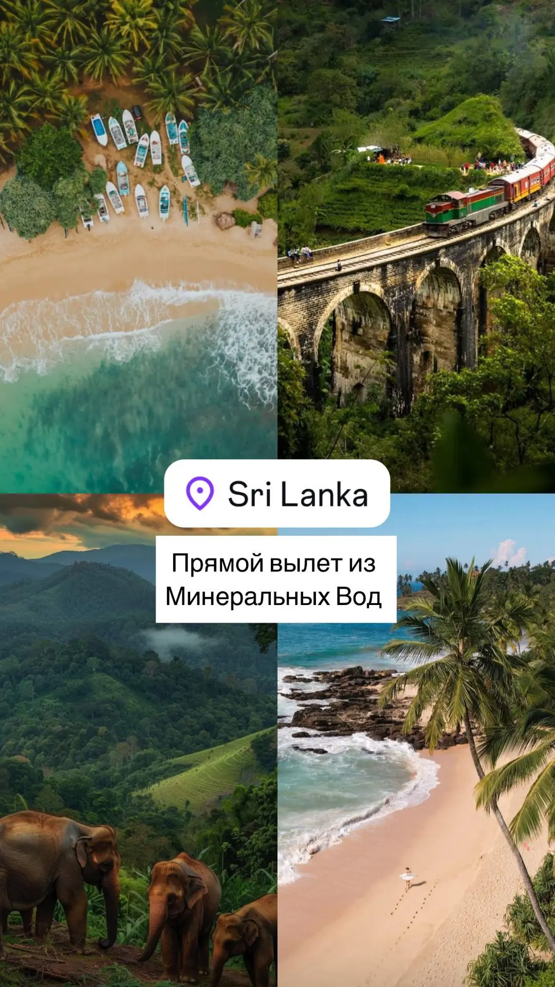 Начинаем новую неделю с отличных новостей!🥳

🇱🇰*ШРИ-ЛАНКА из Минеральных Вод в сезоне 2026*
✈️Ста
