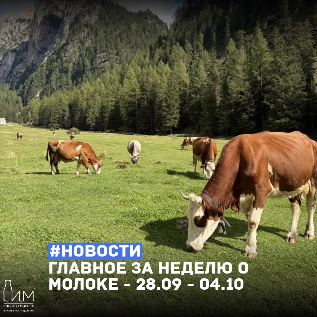 ⚡️ Главное за неделю о молоке: 28 сентября — 4 октября 2026