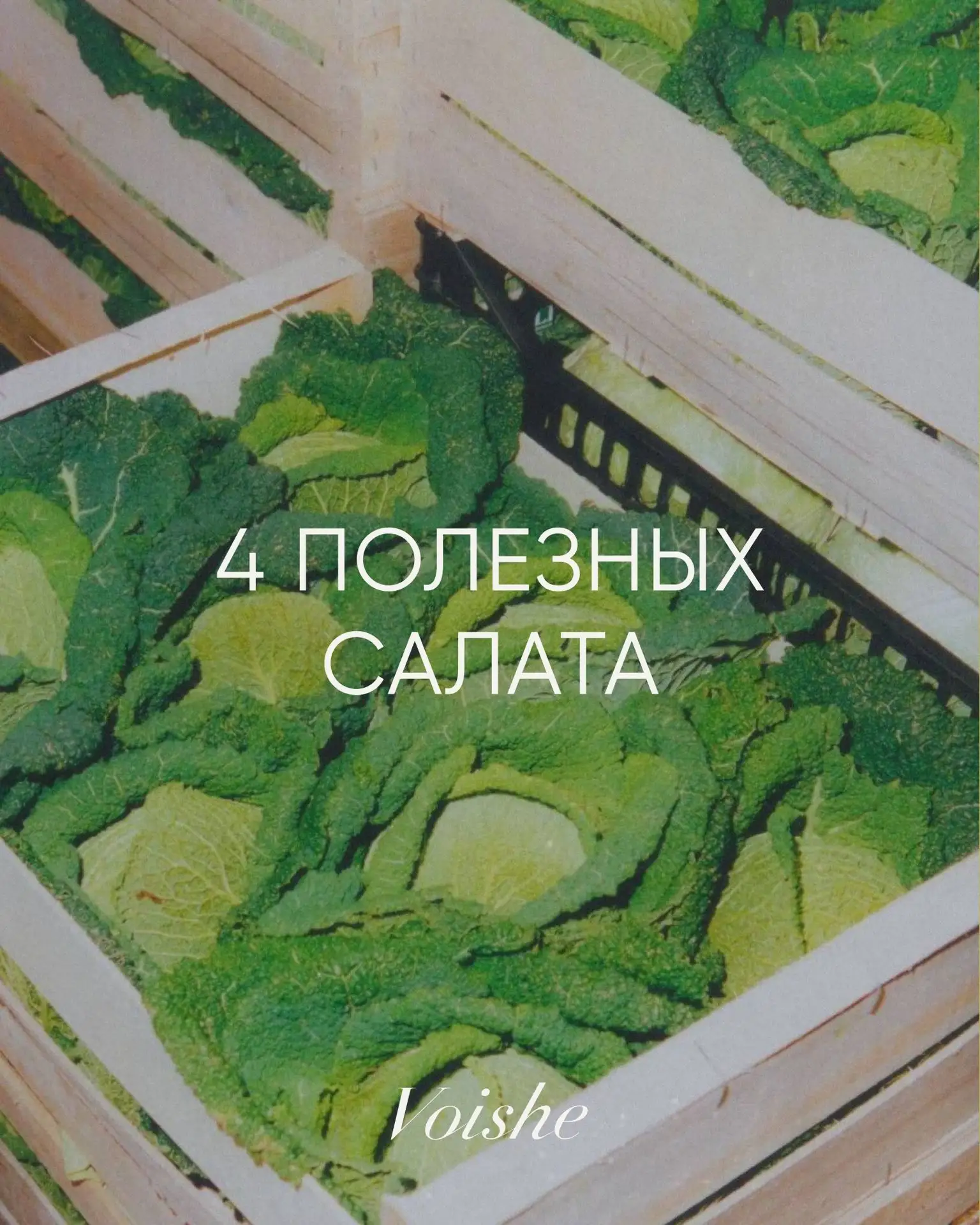 Летние вечера будто сами подсказывают выбирать что-то свежее и легкое 🍃

Поэтому сегодня собрали че