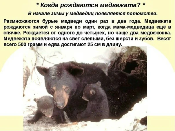 Интересные факты о дикой природе.А Вы знали?