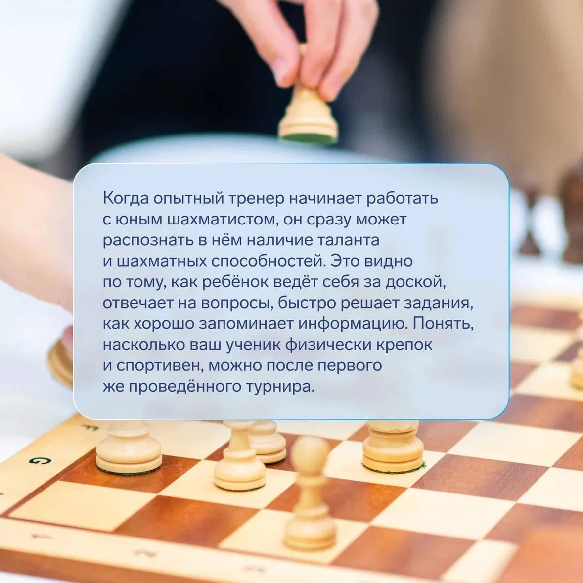Ошибки, чемпионы и стереотипы: советы тренерам по шахматам  Шахматы — одно из спортивных направлений