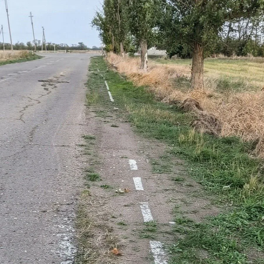 В посёлке Большелугском Ейского района дорожную разметку нанесли прямо на землю вдоль о...