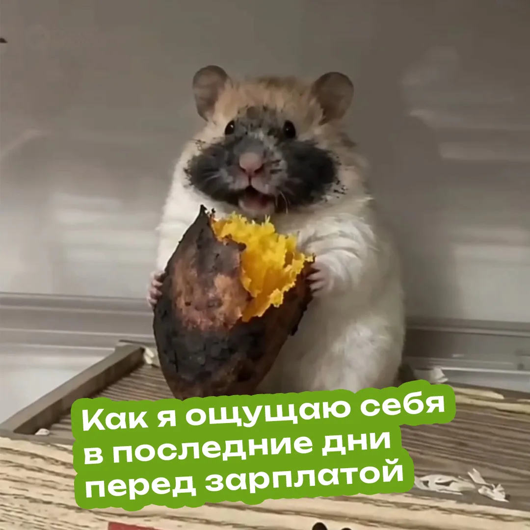 Хорошо, если будет хотя бы картошка...