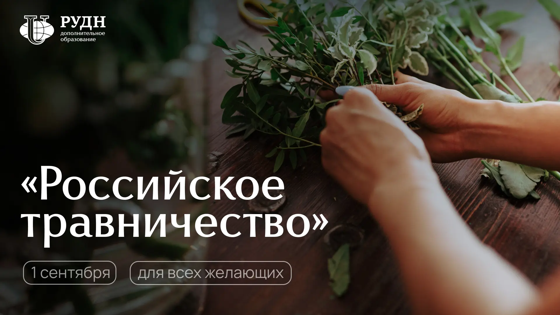 Лечебные травы — одно из самых общедоступных средств народной медицины. Обладая широким...
