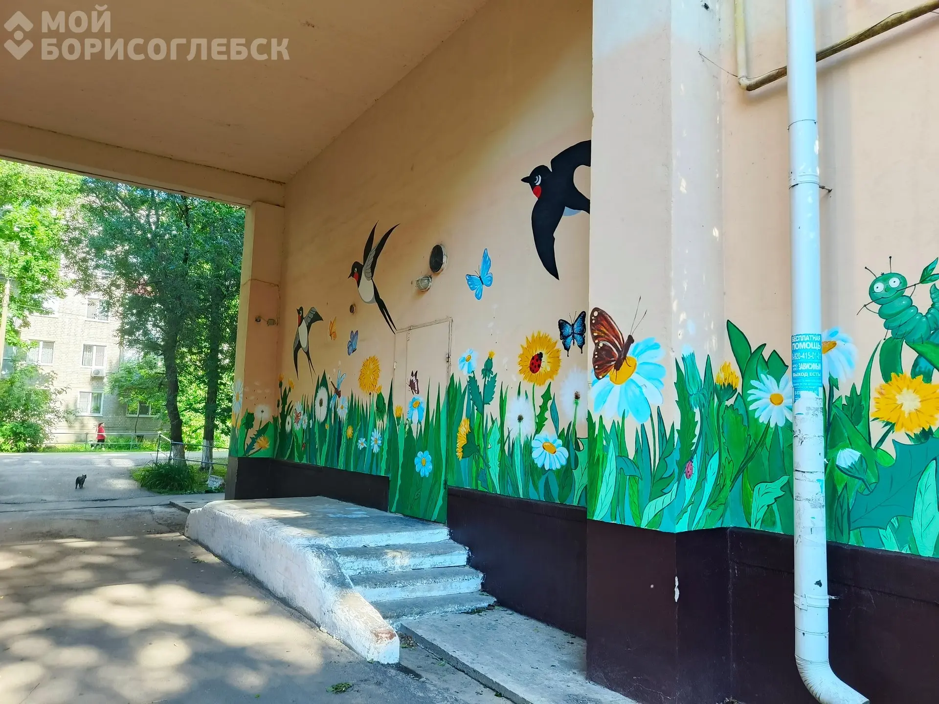 Три года спустя…

Три года назад на арке детского дома культуры «Радуга» появились ласточки — Вера, 