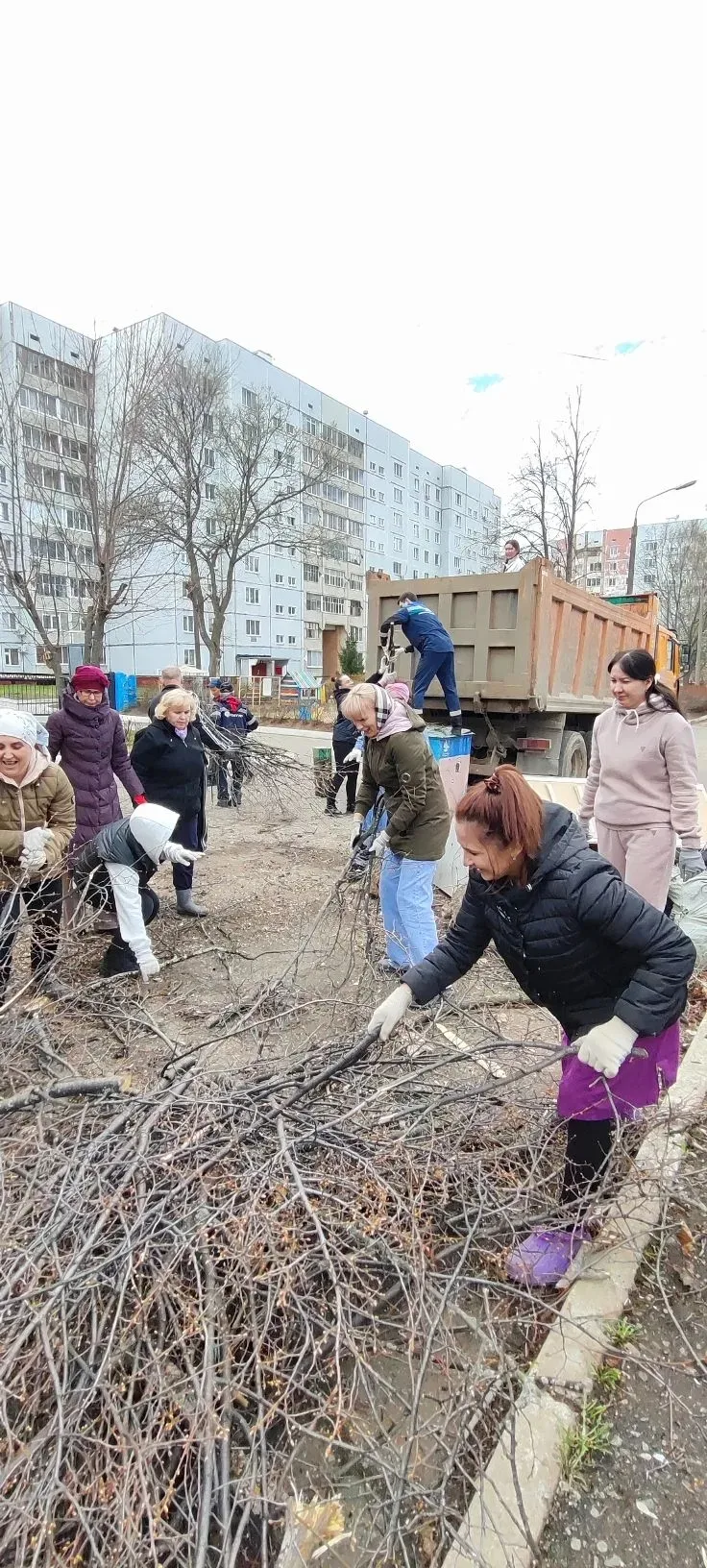 🌳 Огромная благодарность нашим героям! 🌳