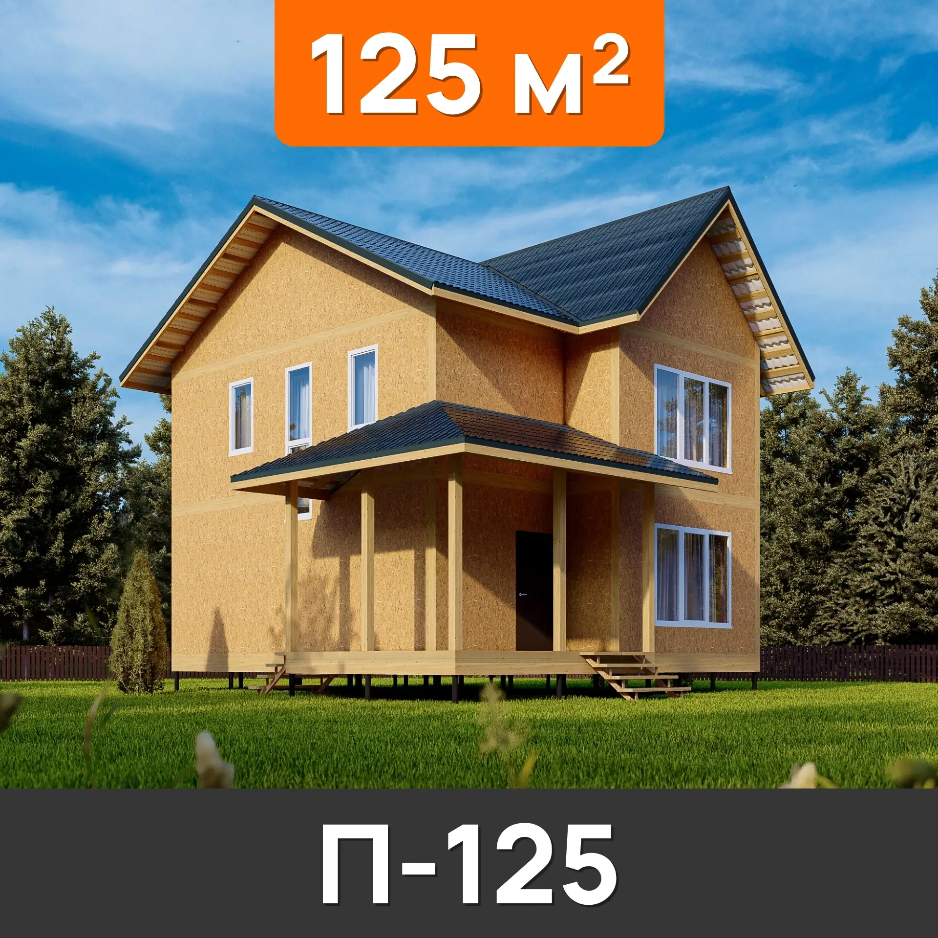 Проект П-125