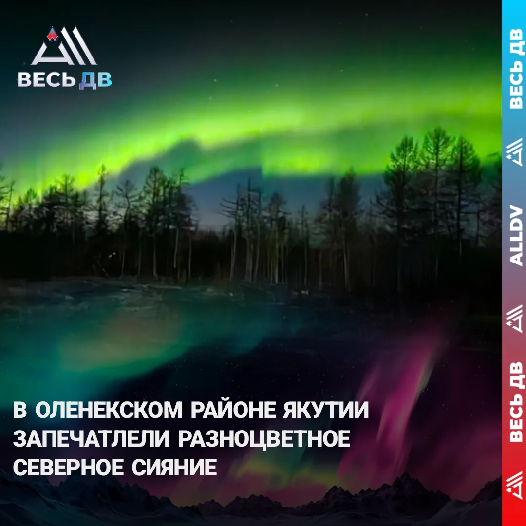 Северное сияние всех оттенков зеленого и фиолетового наблюдали в Якутии