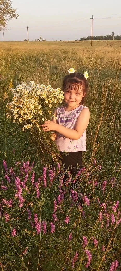 5 июня, отмечается прекрасный праздник — День полевых цветов! 🌸🌼🌺