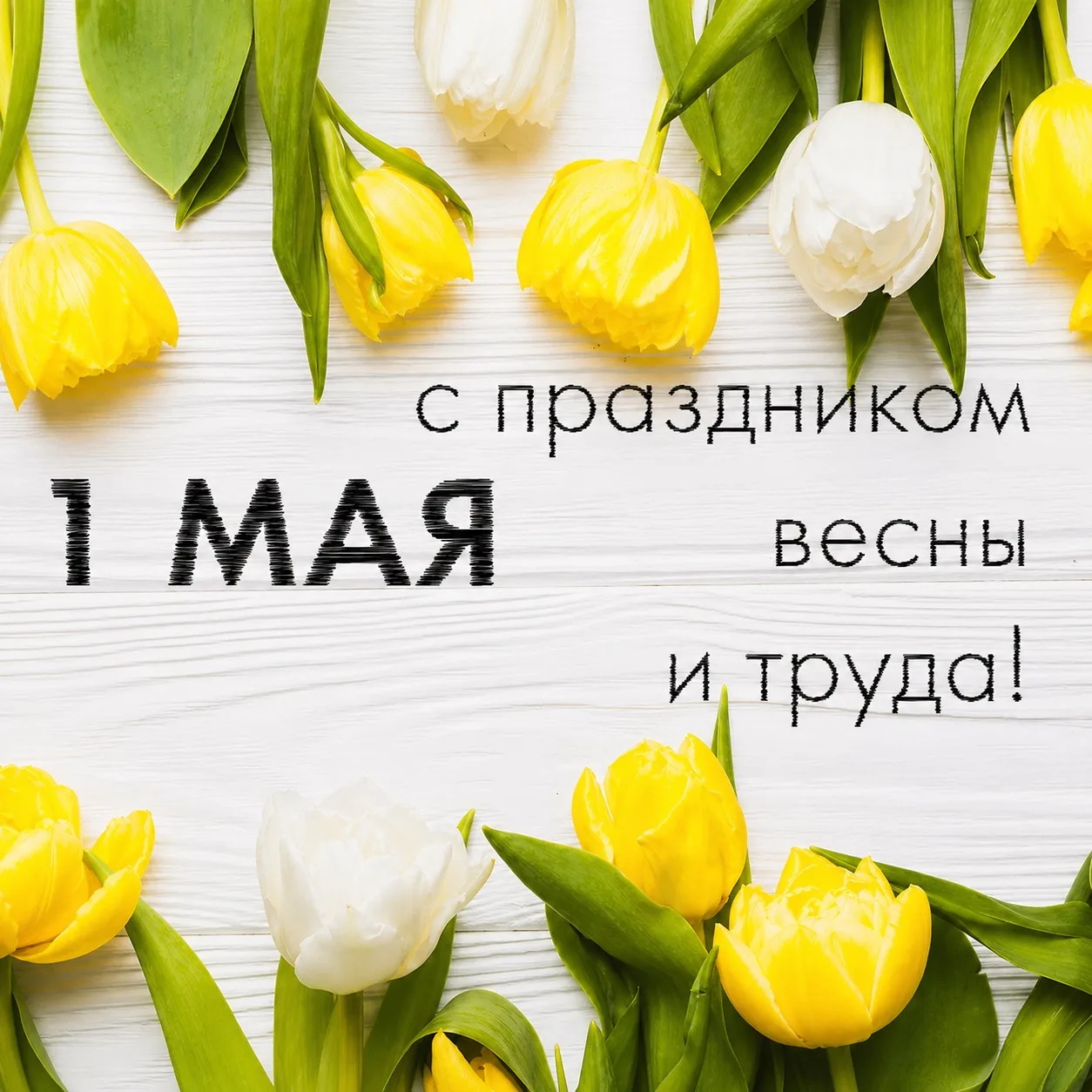 Уважаемые жители! ✨

От всей души поздравляем вас с 1 мая — Днём Весны и Труда! Пусть этот праздник 