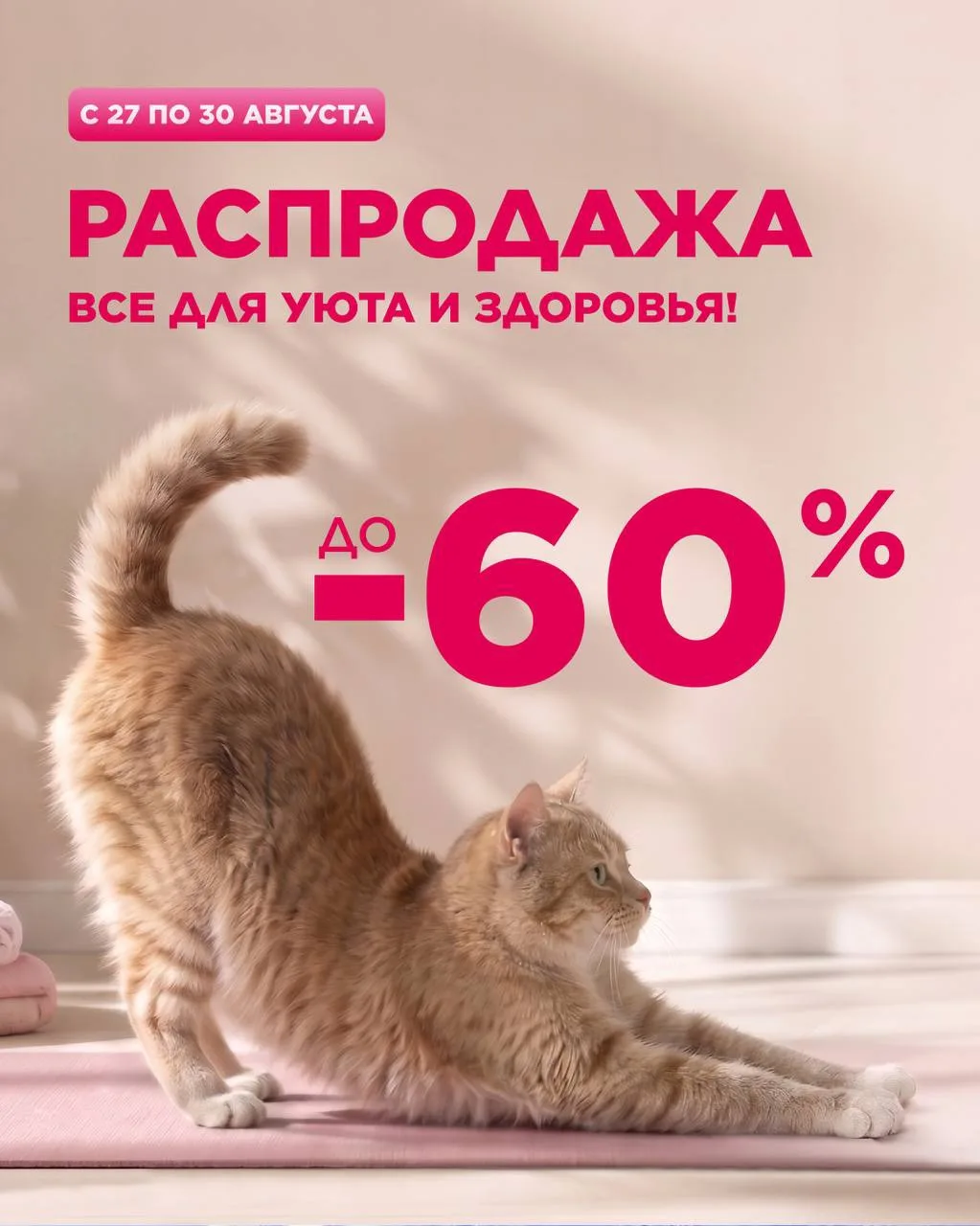 Распродажа! Всё для уюта и здоровья — скидки до -60% 🏠