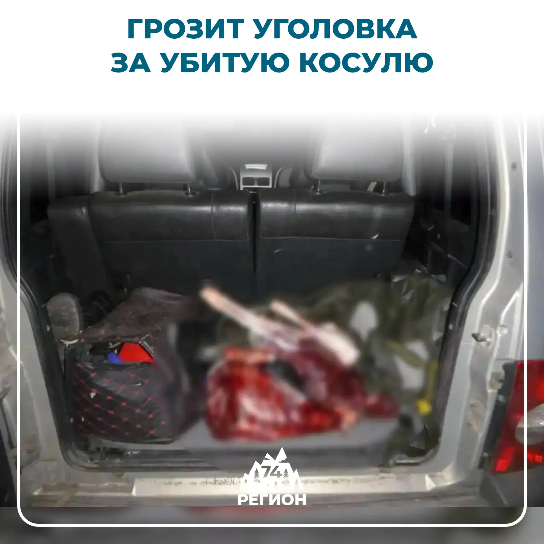 🚫 Жителю Челябинской области грозит уголовка за убитую косулю