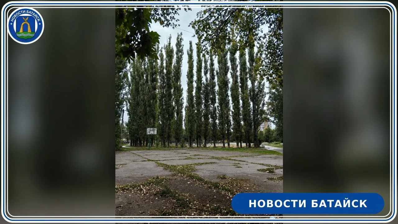 В сквере Авиаторов сохранили территорию под баскетбольную площадку