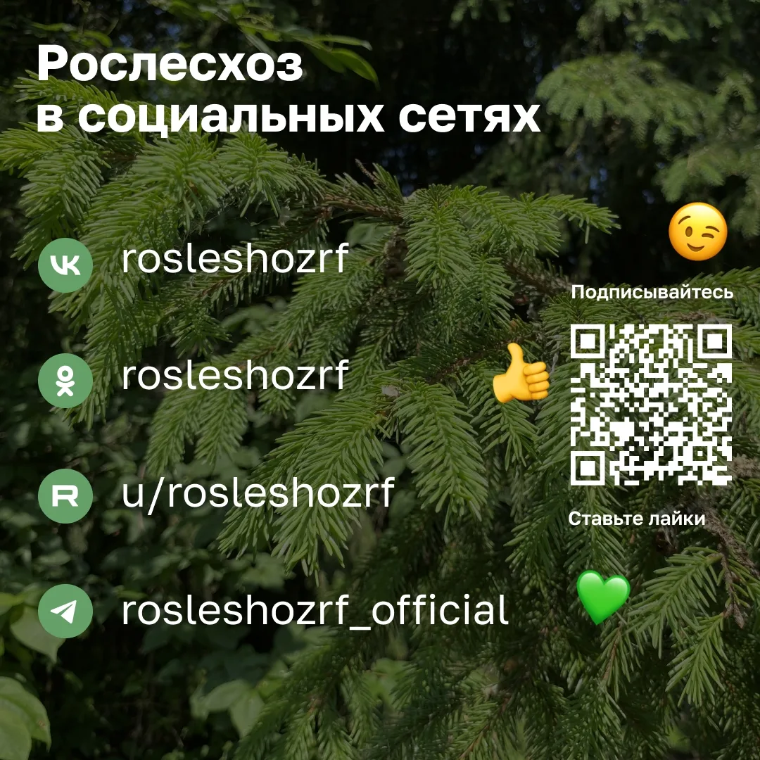 Природные пожары 🌲🌳🔥  Берегите природу - соблюдайте правила пожарной безопасности!!! 💯