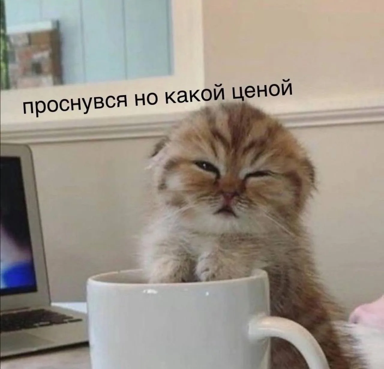 МЕМАСНАЯ