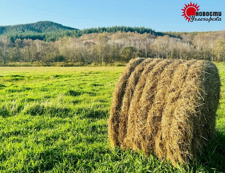 ☀️ Погода сегодня ночью и днём 4 октября: