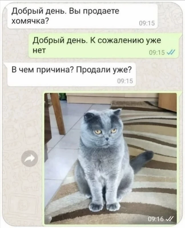 Самый короткий и грустный рассказ Эрнеста Хемингуэя😅