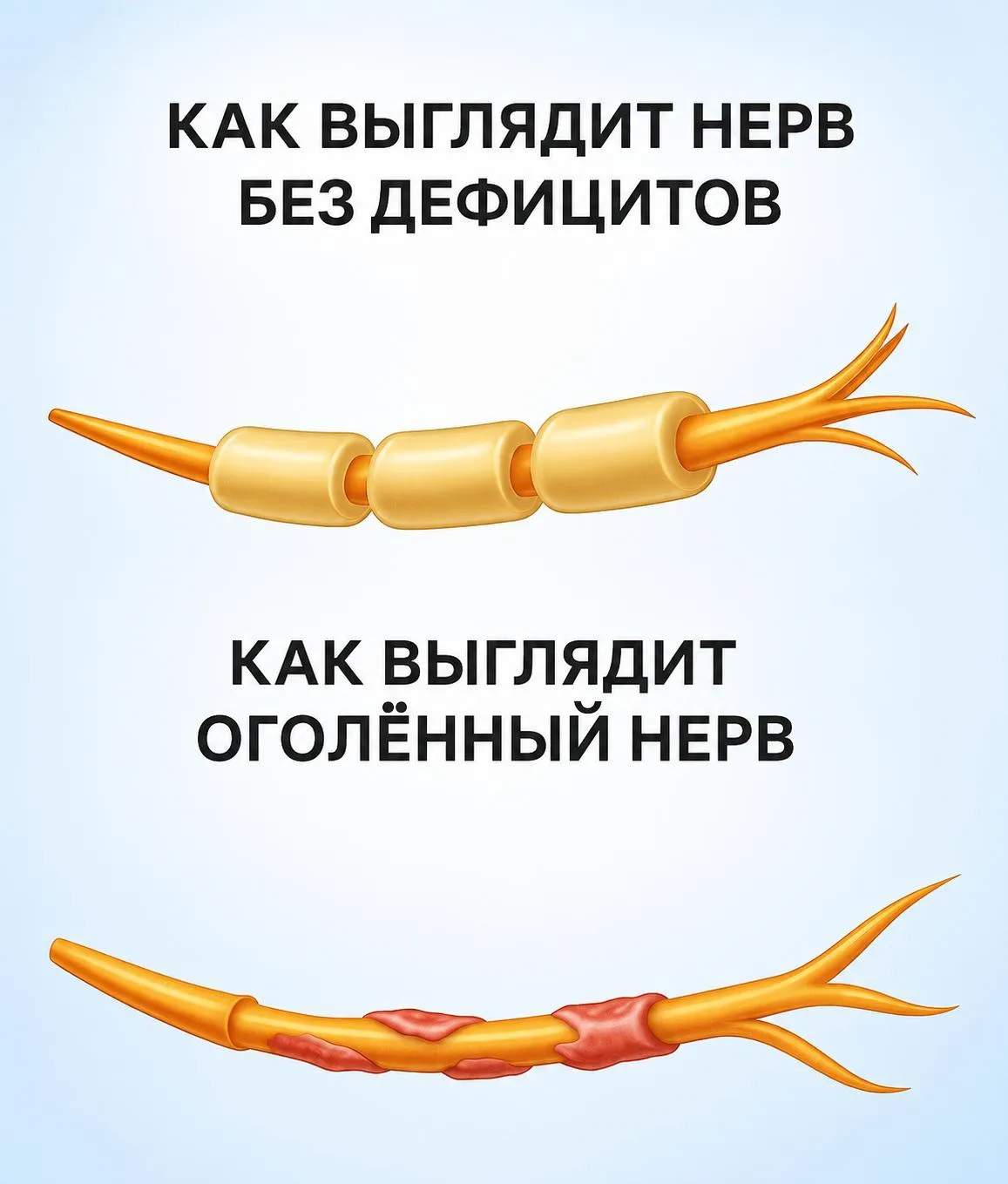 Один дефицит может заметно влиять на состояние нервной системы 🤯