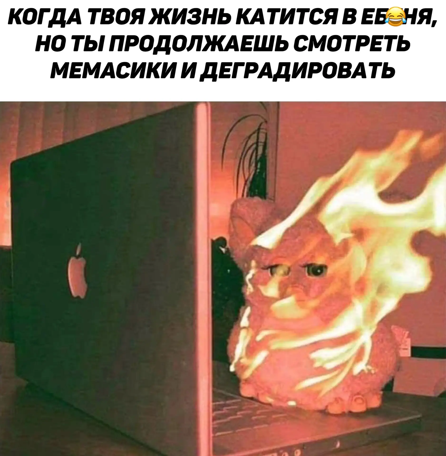#ЮМОР