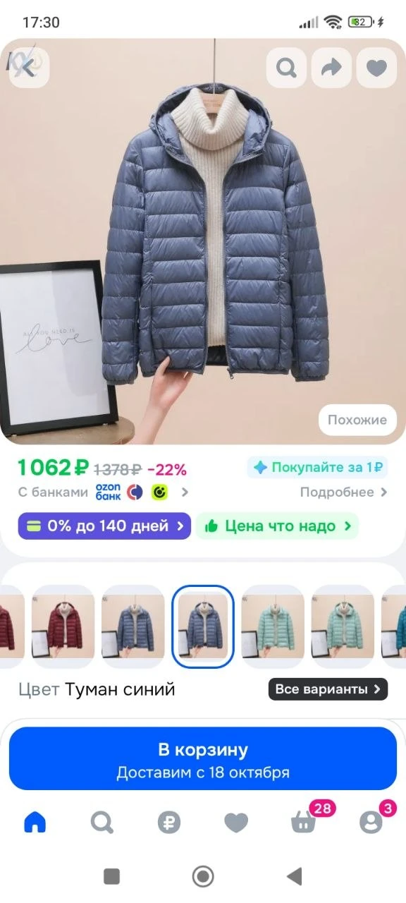 Пуховик