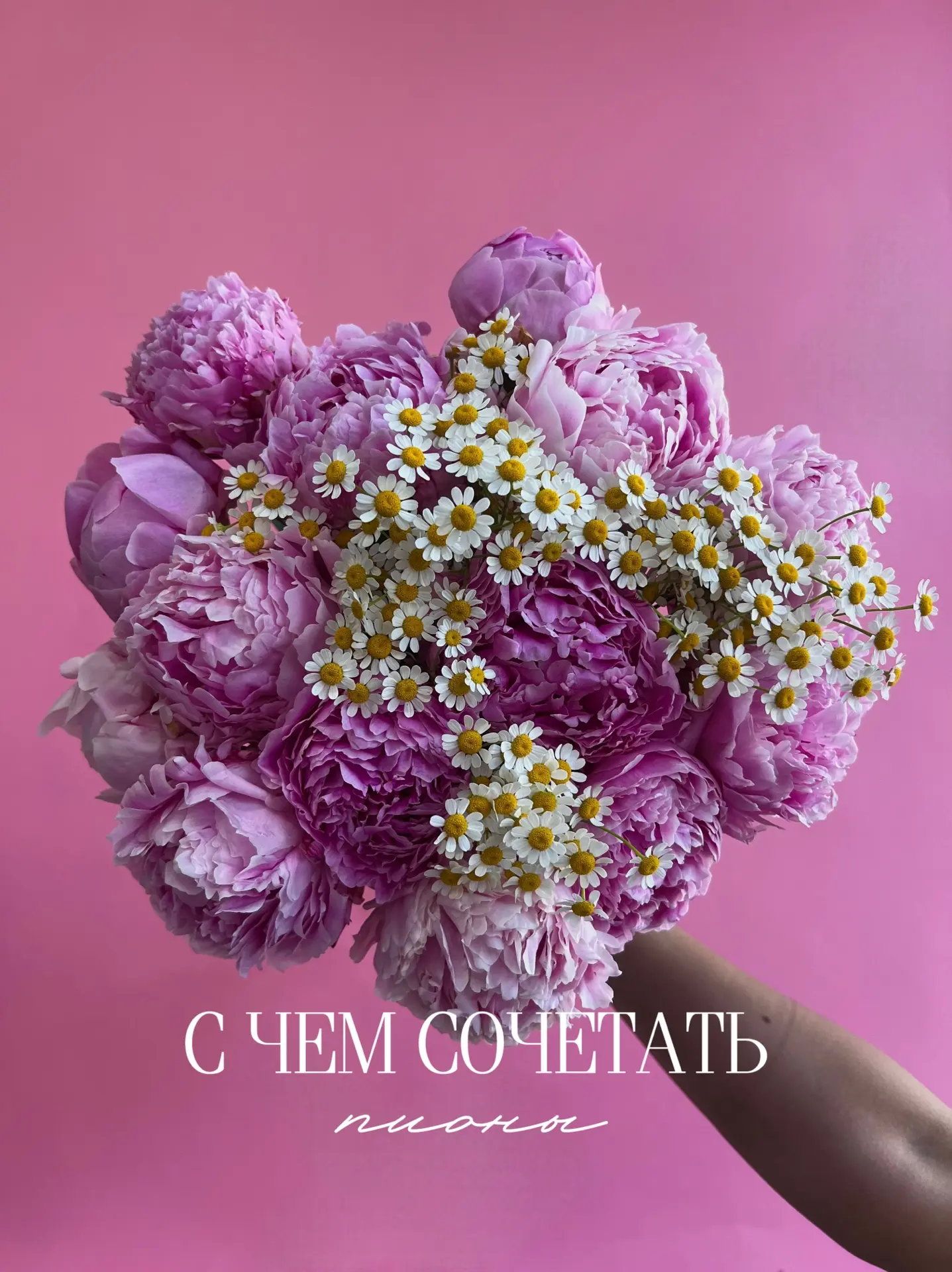 ✨Какие цветы сочетаются с пионами? ✨

🌸Топ три летних варианта с сортом пионов Сара Бернар:

1. Пио