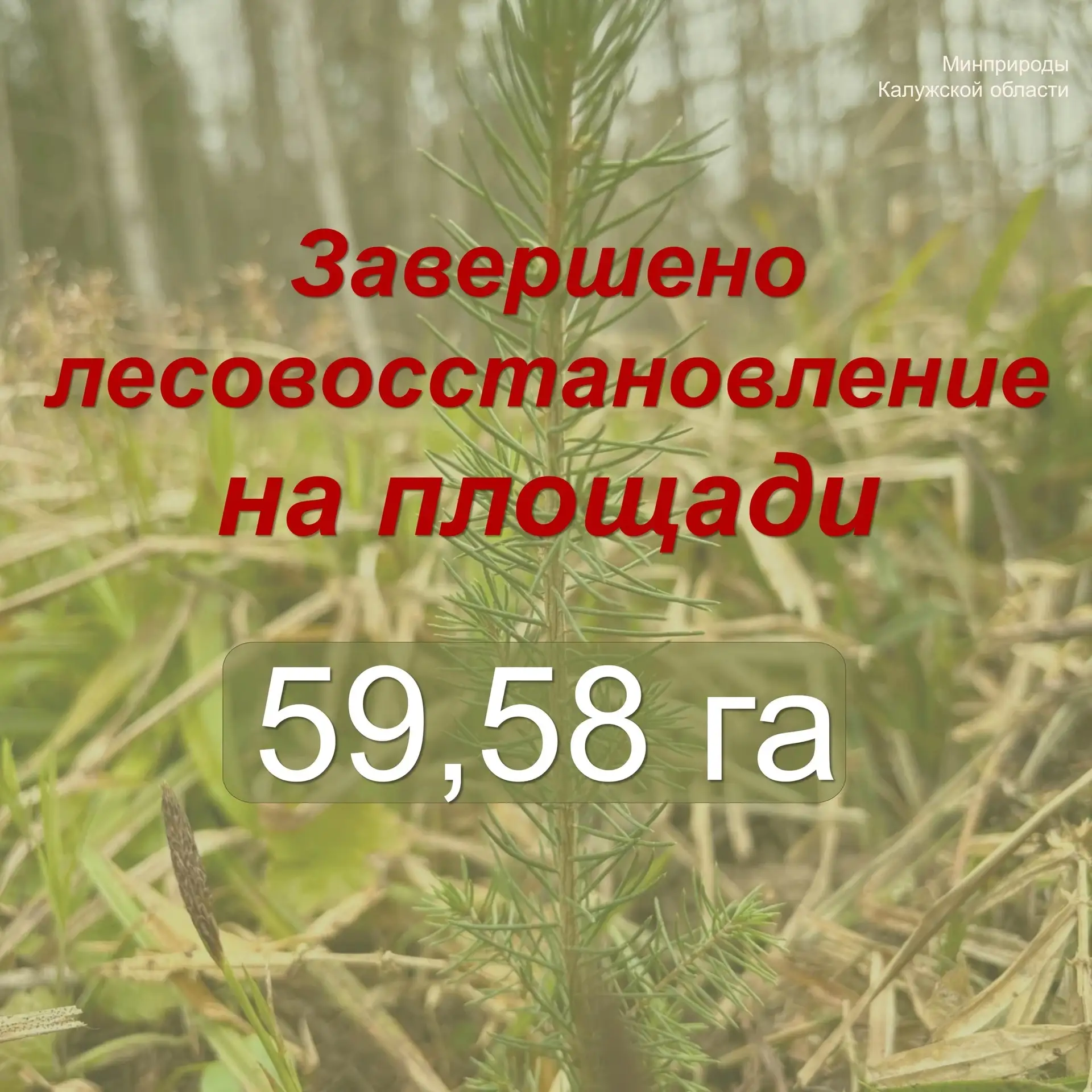В Калужской области — зелёный прорыв!

Завершена масштабная весенняя посадка леса в рамках компенсац