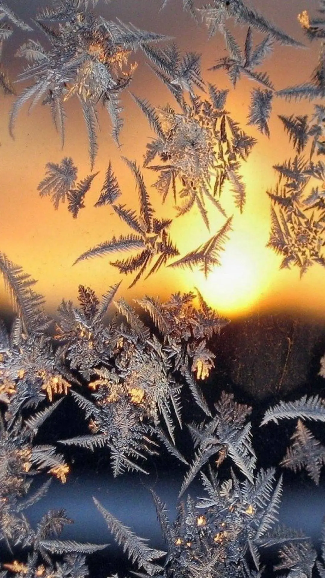 Знаем, чем себя занять в морозные деньки! ☃️

Пока за окном искрится иней, мы приглашаем вас на проц