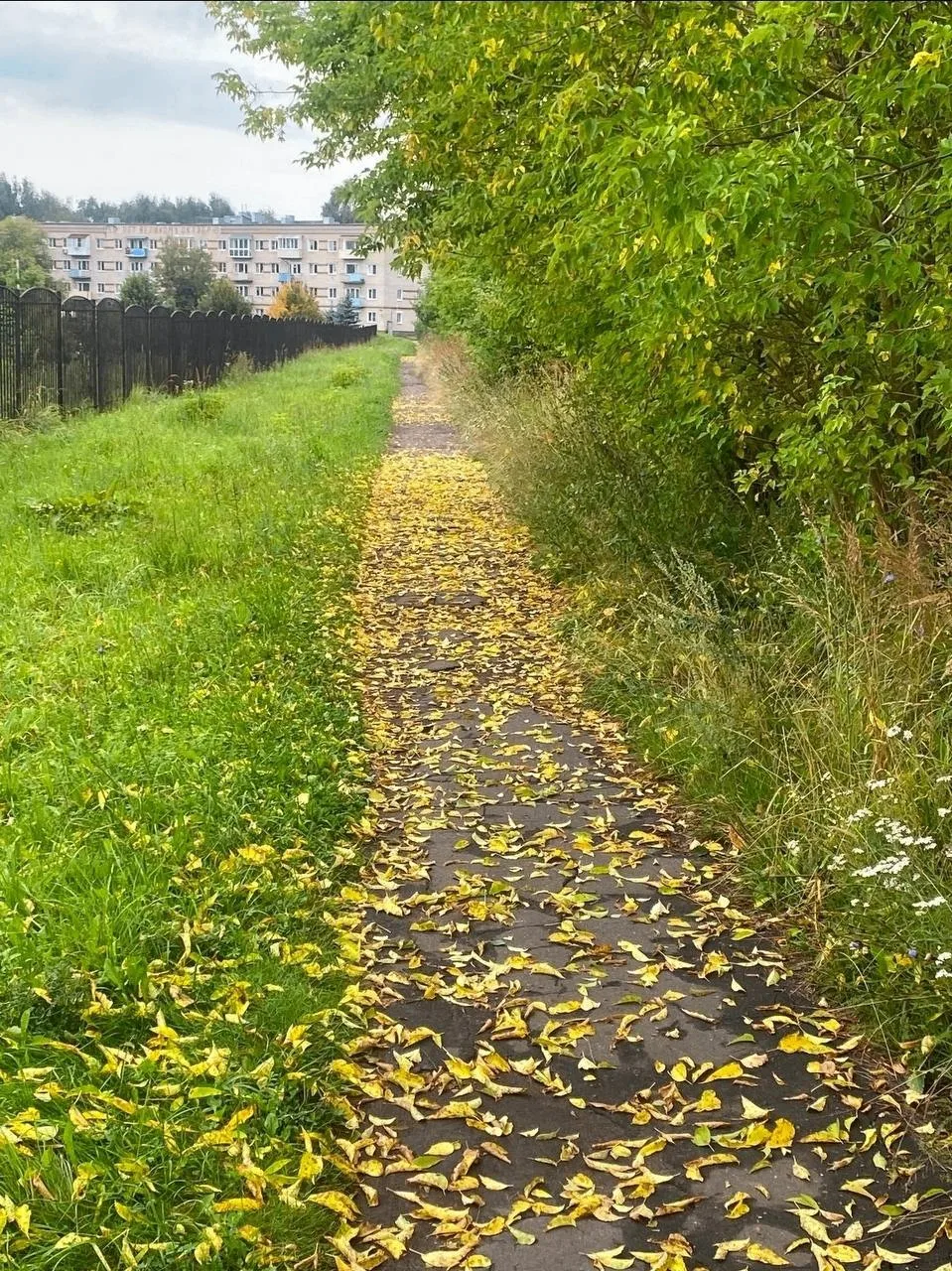 Лето решило взять паузу 🍂