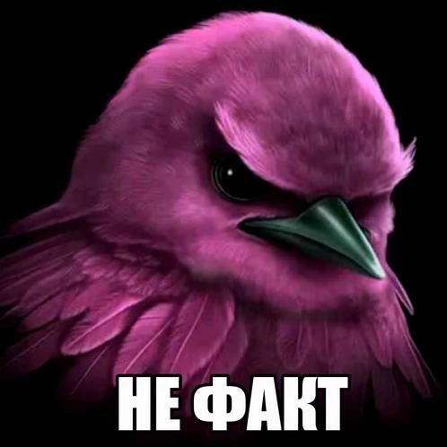 В Ростове планируют заложить средства на реконструкцию парка «Дружба» в бюджет на 2027–...