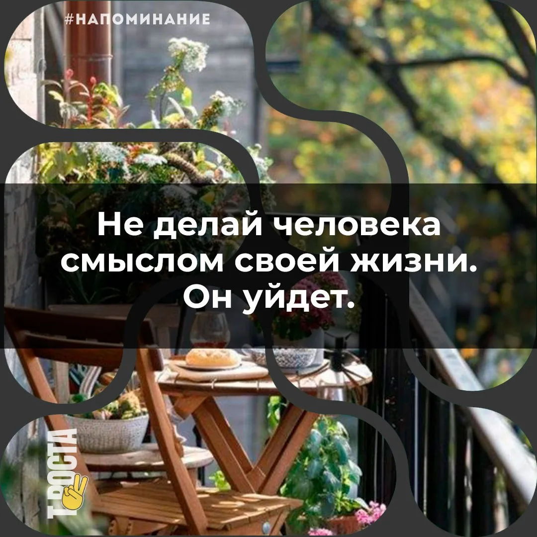 Точка роста