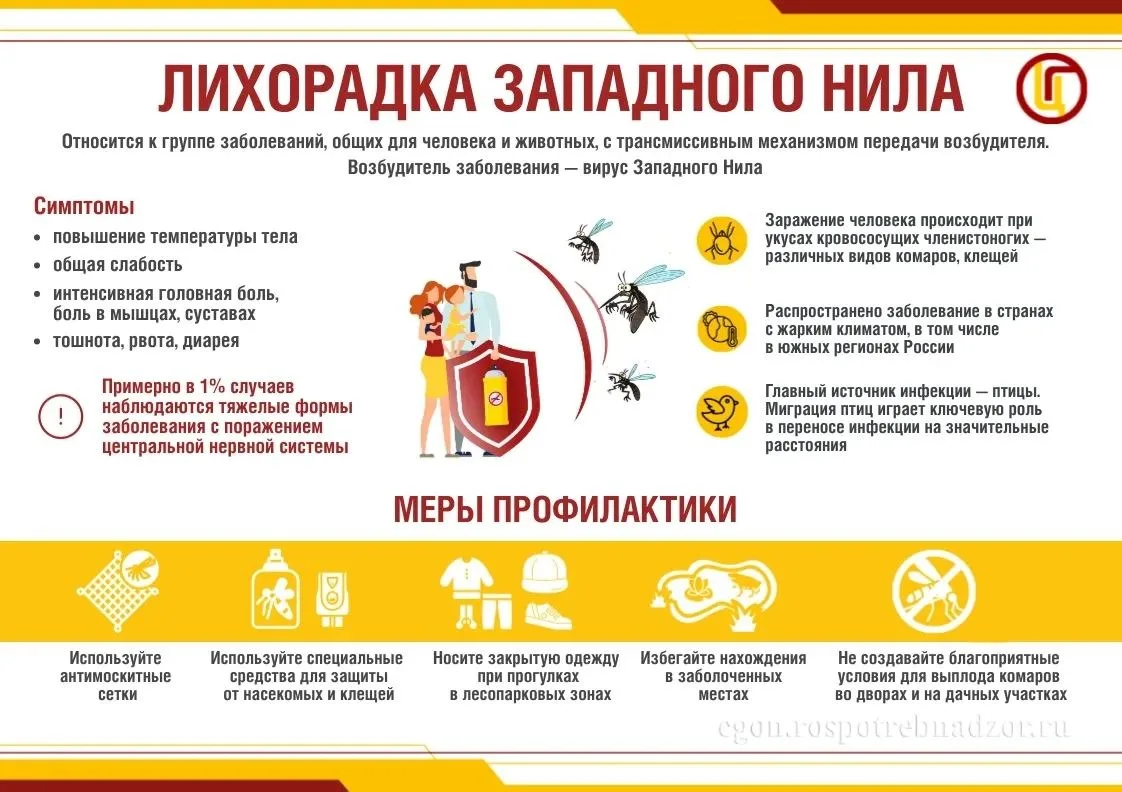 Лихорадка Западного Нила: болезнь с экзотическим названием!
