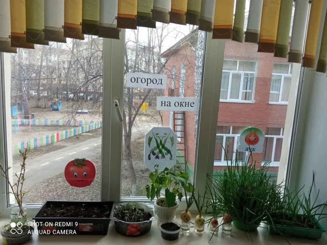 Есть у нас свой огород... 
Много там всего растёт. 

Огород на окне - это отличный способ увлечь дет