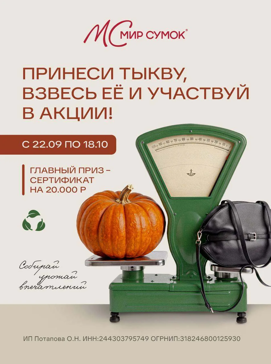 Принеси тыкву — выиграй